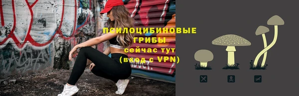 a pvp Каменск-Шахтинский