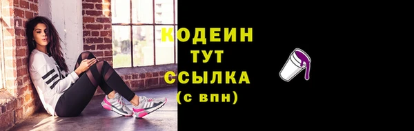 соль ск Козловка