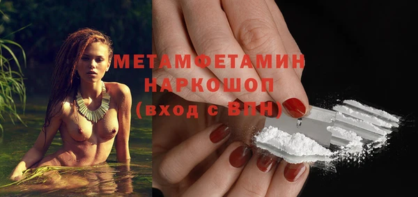 гидра Каменногорск